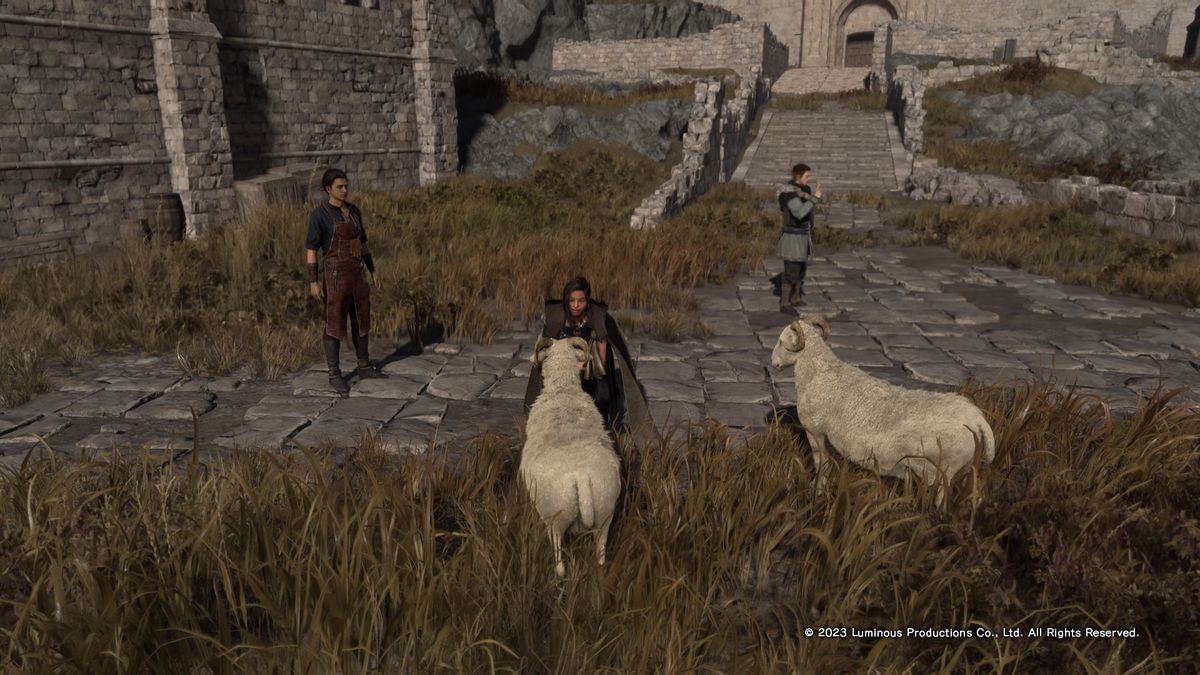 An image of Frey kneeling to feed a sheep in Forspoken.  The world looks a bit dull - the grass looks a bit dry and dead, but the sheep are cute! 