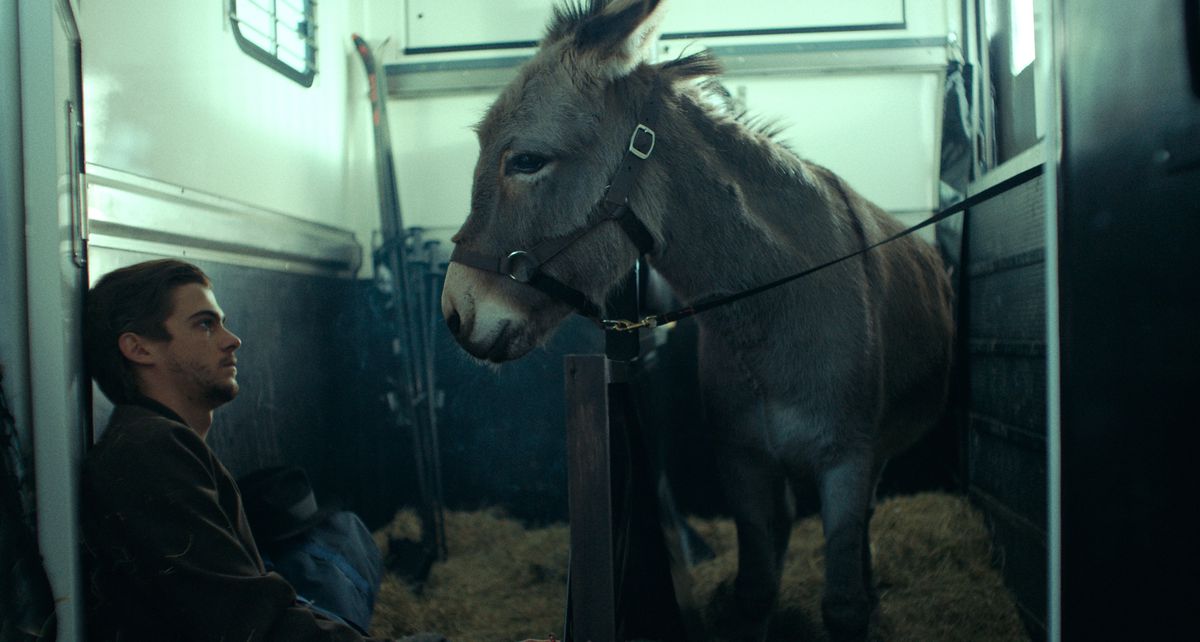 EO, the protagonist donkey of 2023 Oscar nominee EO, hangs out in a horse trailer with a dark-haired man who looks him deep in the eye
